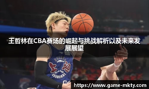 王哲林在CBA赛场的崛起与挑战解析以及未来发展展望